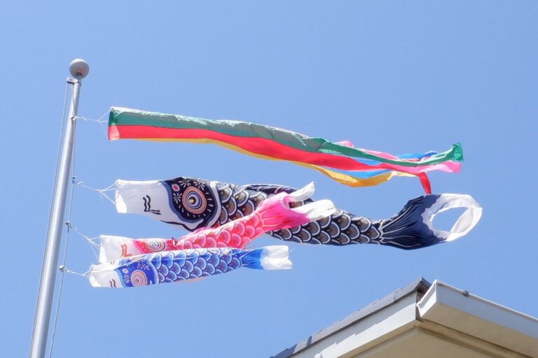 こいのぼりが脱走・・・