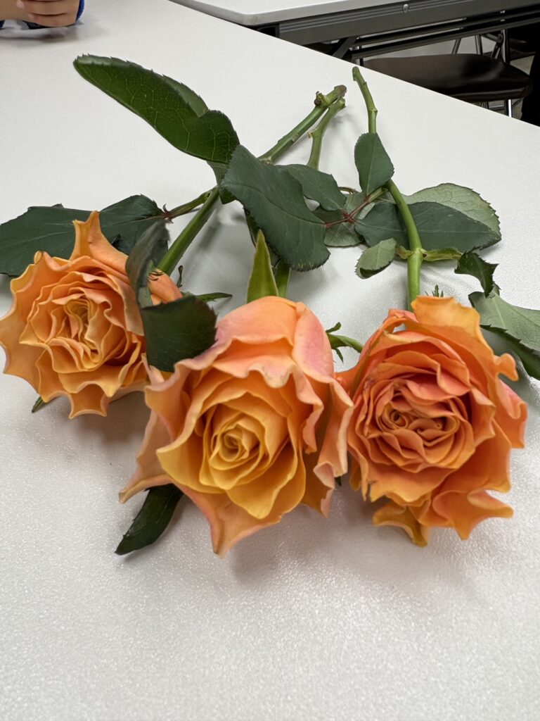 3月生まれのこどもたちへ！バラ王子がやってきた🌹✨