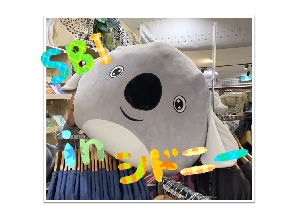 ✈SBI海外体験プログラムinシドニー✈